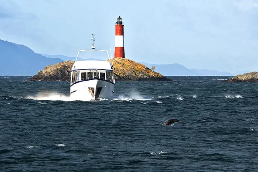 NAVEGACION CANAL BEAGLE, LOBOS Y PINGUINERA