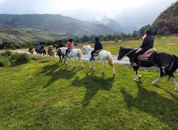foto de caballos